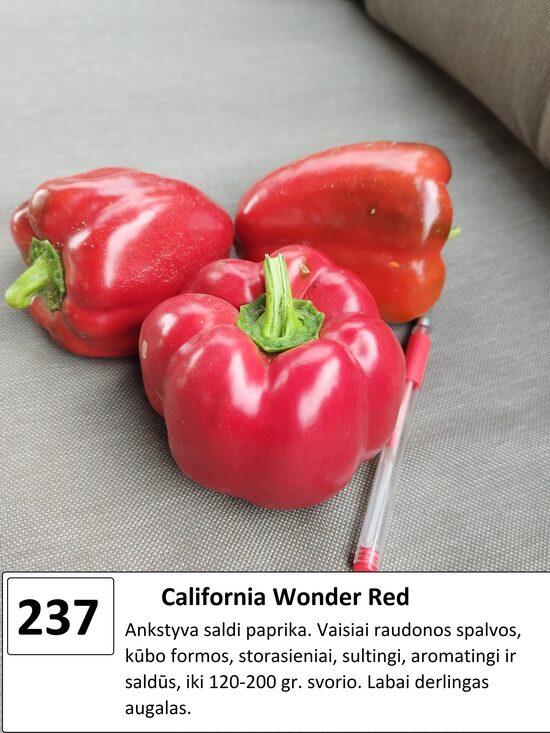 California Wonder Red