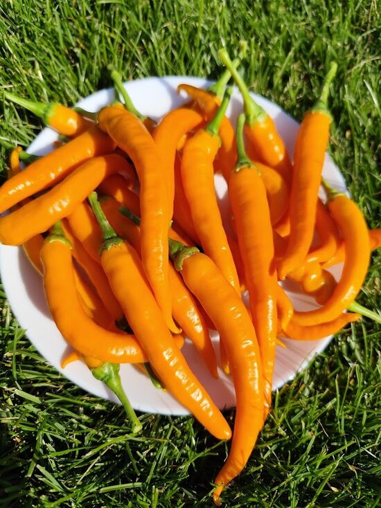 Hangjiao 3 solar flare 