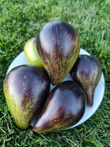 Emerald Brocade (Izumrudnaya Parcha) 