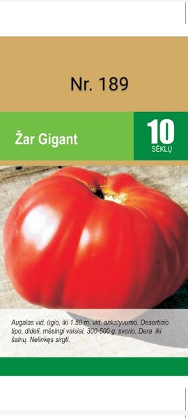 Žar Gigant