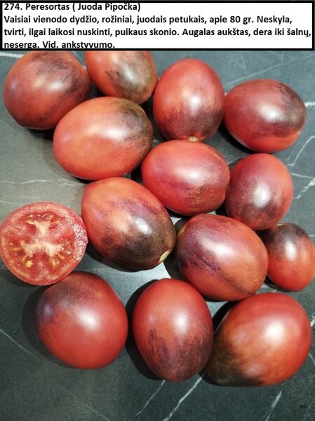 Juoda Pipočka (Peresortas)